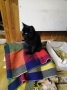Other - Фото: 4