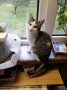 Other - Фото: 3